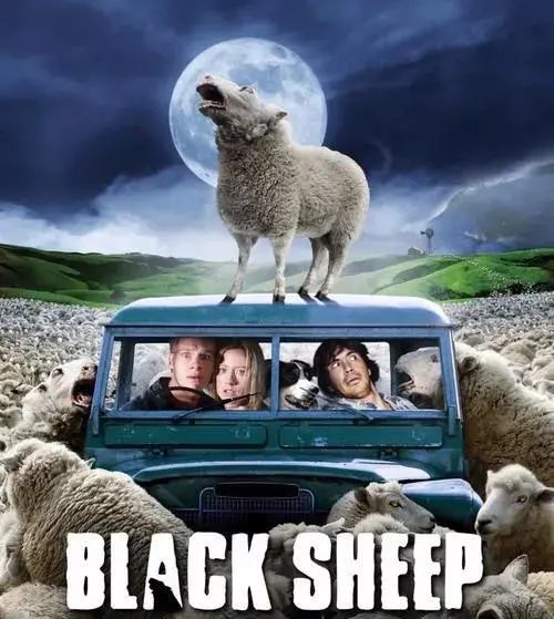"a black sheep"="黑色的羊",真实含义居然是