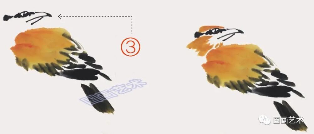 图文教程 轻松学画黄鹂 翠鸟 腾讯新闻