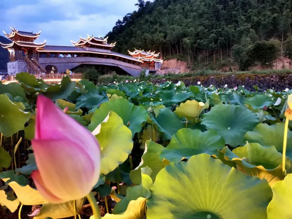 游在闽北政和中国百佳深呼吸小城的魅力都藏在这些宝藏乡镇里