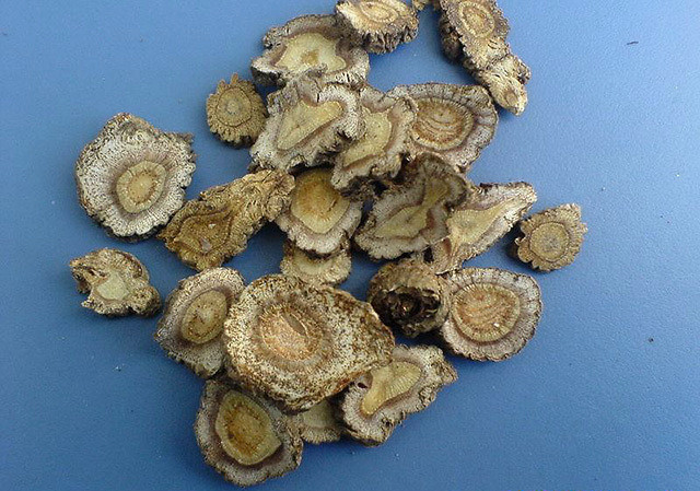 中药材独活根部增大要用什么肥料?独活什么时间打根茎块膨大素?