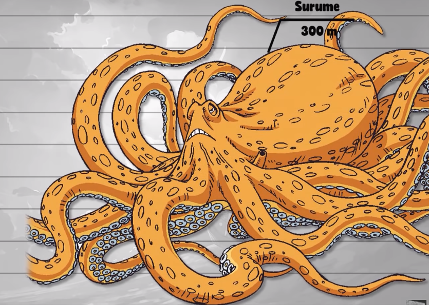 海贼王数据公示8:这些庞然大物实属怪物,隔壁艾导骂骂咧咧退群_腾讯