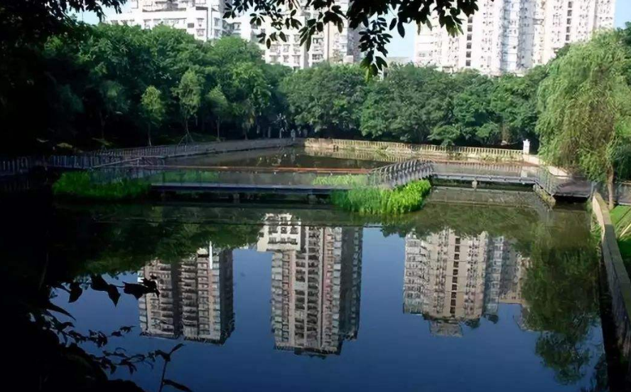2020重庆中学排名_2020五大学科竞赛排行榜出炉!重庆五所学校上榜,这所学