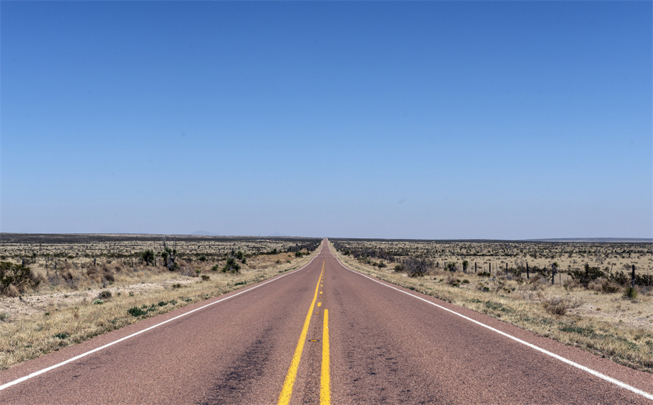 在十二生肖中头脑不清醒自我认知太过于自信的生肖