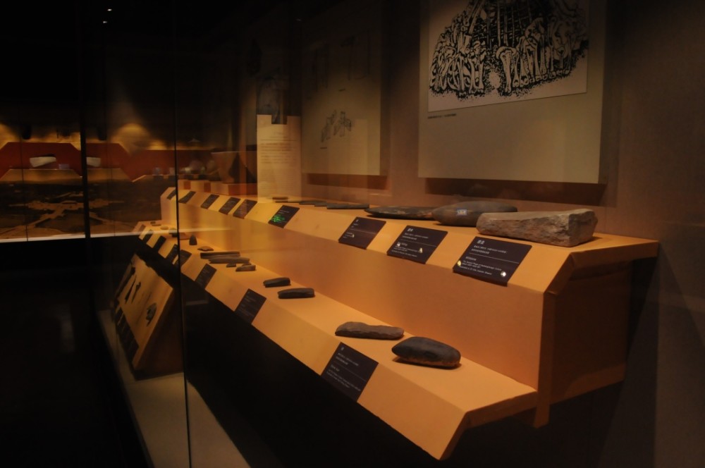 太意外了西安西北大学博物馆走进去原来里边这么精彩