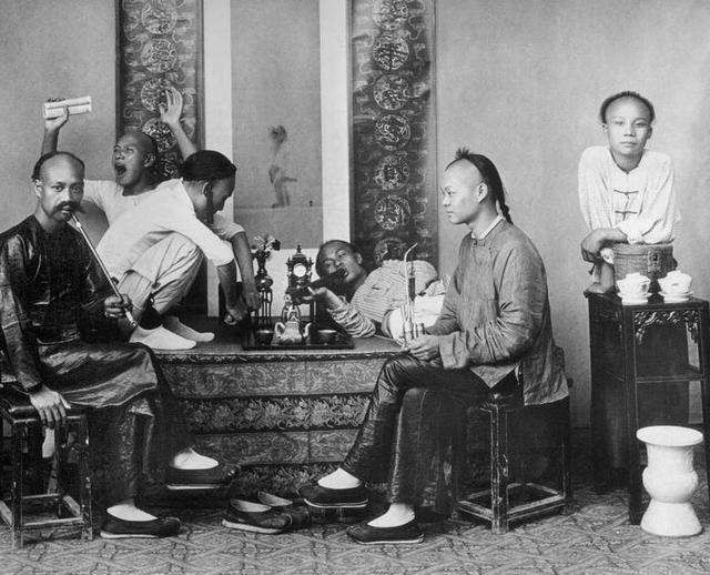 国内唯一合法种植罂粟的地方规模上千亩武警全天持枪守卫