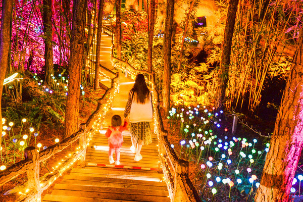 广东最大的光影秀,森波拉森境光影打开了全新的夜世界