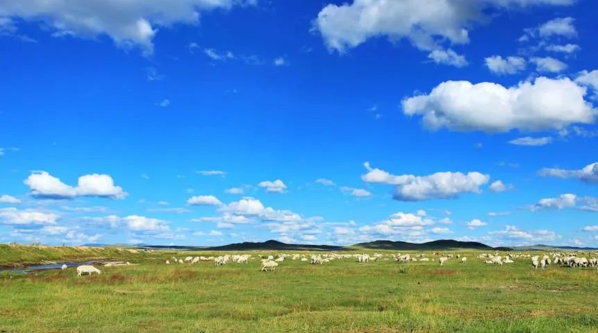 智慧互联大数据立足草原修复发展草原碳汇