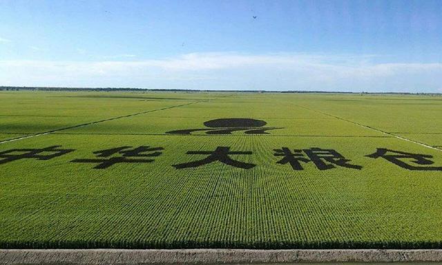 中国第一粮仓:昔日"北大荒",如今成"北大仓",年产7503万吨_腾讯新闻