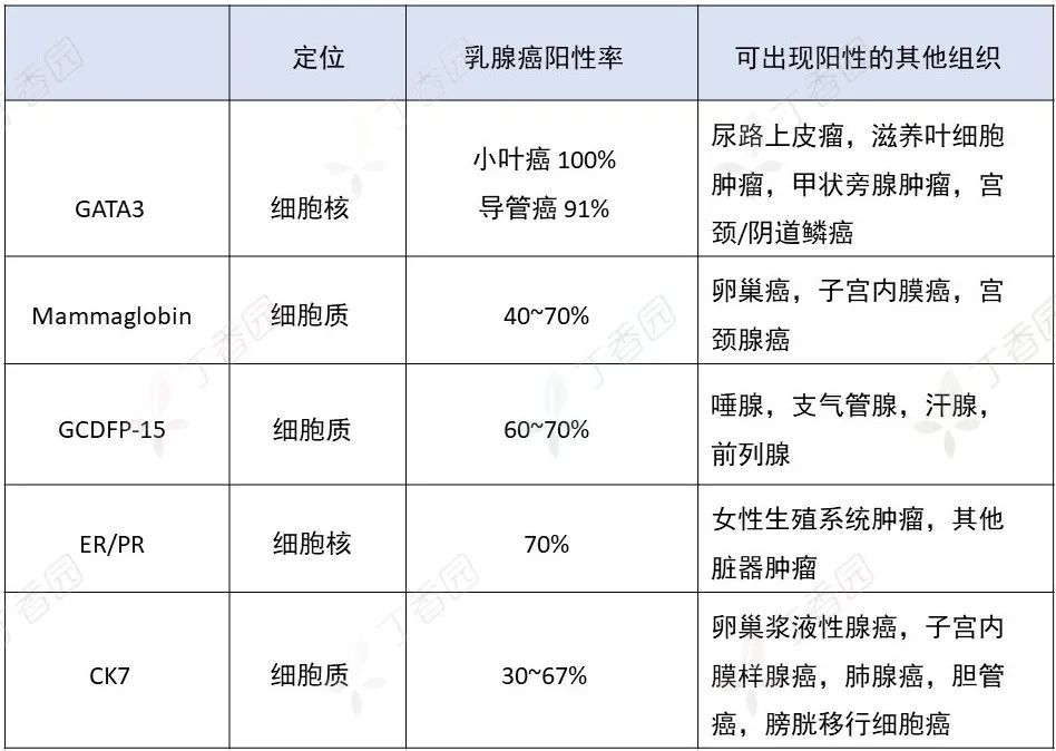 癌症是不是癌胚抗原一定高_癌症早期癌胚抗原都正常吗_癌胚抗原多少才算癌症早期