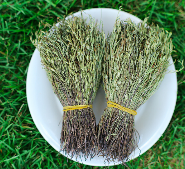 被誉为"草中黄金"!我们农村常见的杂草,竟卖到1500元一斤!