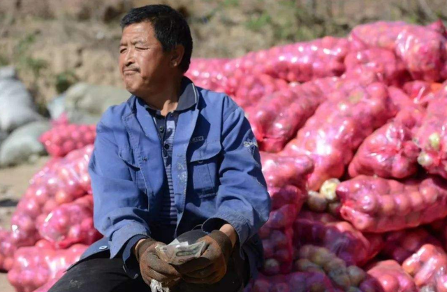 农村水果滞销严重收购商对不起我一点也不同情滞销大爷