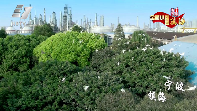 镇海gdp_背靠万亿GDP城市,捐资11位数的“土豪大学”开建,对标西湖大学