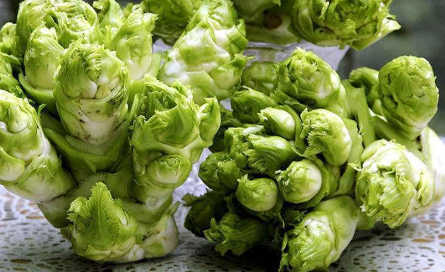 一母多子,这也是它叫"儿菜"的来由.你们那边看到有这种菜吗