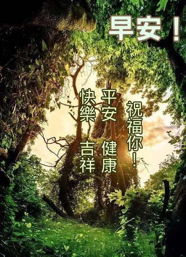 12月最新版早上好祝福语短句 早上很美的暖心早安祝福图片 美的 好心情