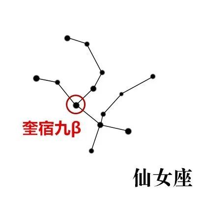 科学向日葵仙女座的传说