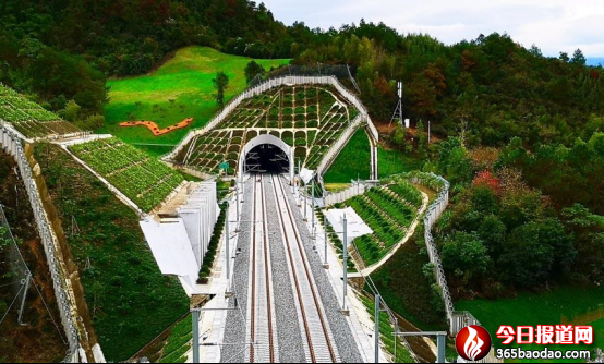 线信陈段改造工程的建设者们|京广铁路|隧道|鸡公山|指挥部|刘新来