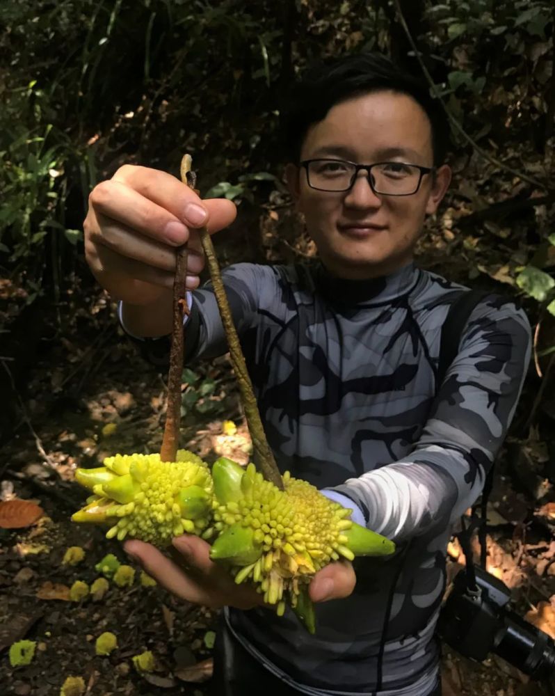 全媒派 | 水果猎人杨晓洋:如何做植物类的科普?_腾讯新闻