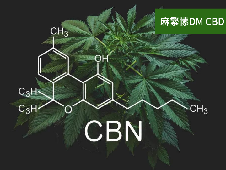 cbd油爆火后工业大麻cbn崭露头角