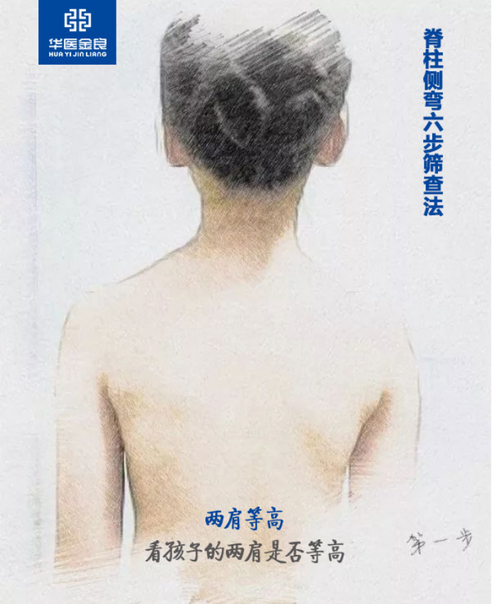 第三步  肩胛骨下端等高  用手摸一摸孩子背部的肩胛骨,看两块肩胛骨
