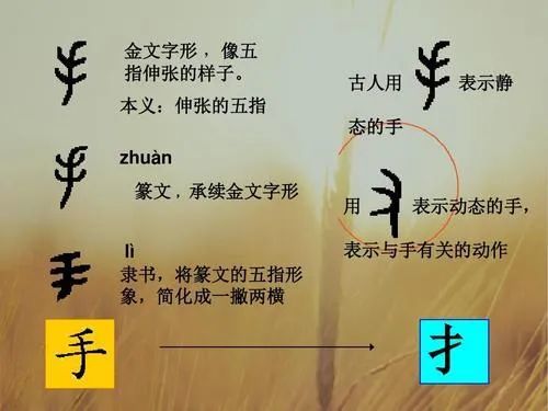 取名姓名筆畫中帶有提手旁到底好不好