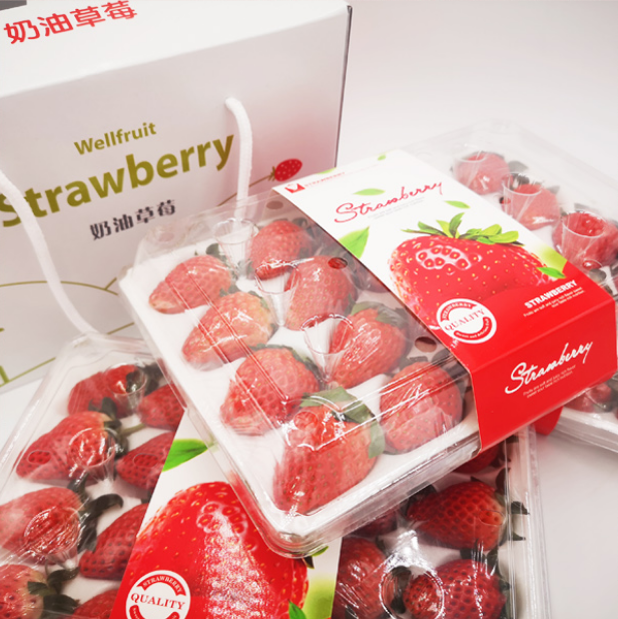 当季鲜果上海章姬奶油草莓128元3盒实心味美水嫩多汁