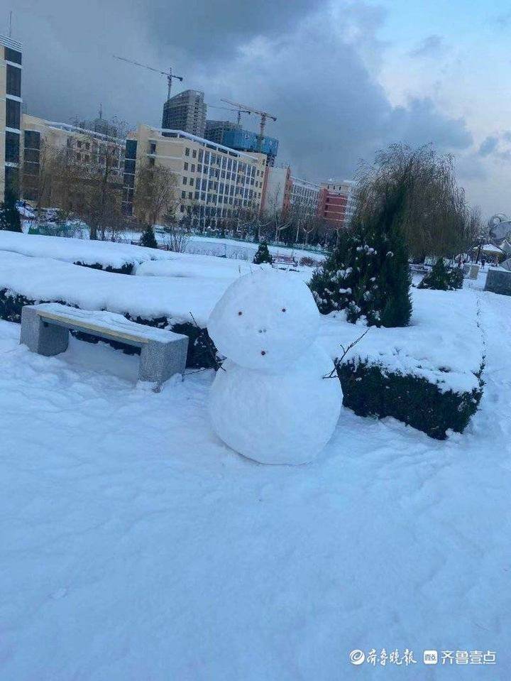 雪景圖,一起領略一下雪後美景:來源:哈爾濱工業大學(威海)新聞中心