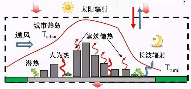 不祥之兆加拿大上空上万只乌鸦盘旋近14小时专家热岛效应