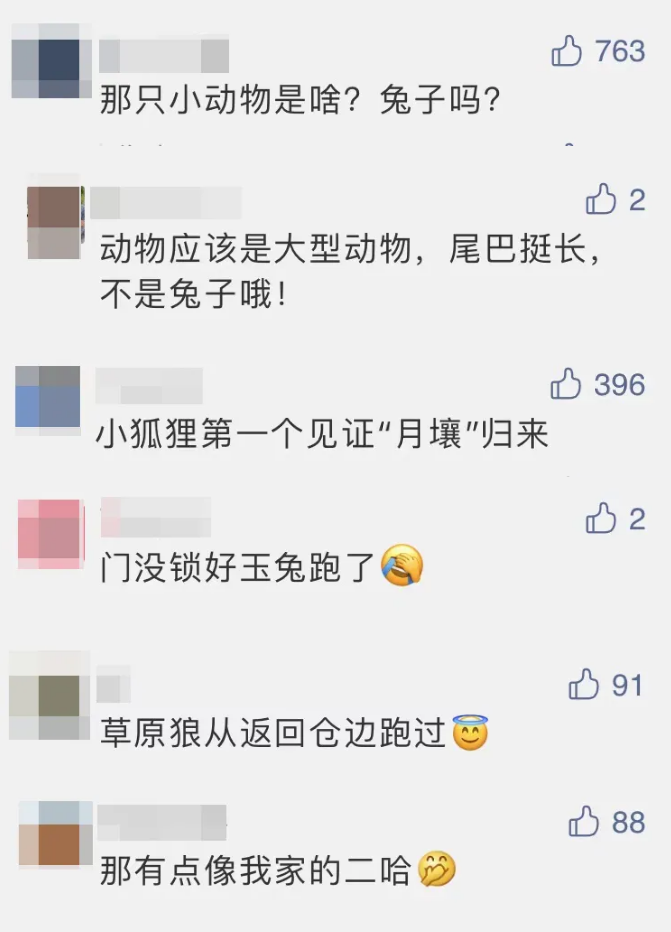 破案了!真的是