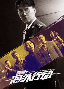 刑警之海外行动[全集]