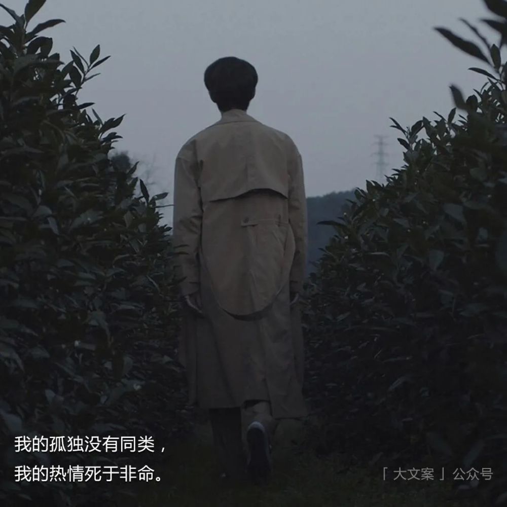 孤独文案那些关于孤独的句子