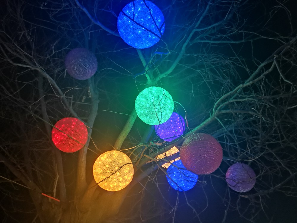 美丽的夜色中树灯造型优美五彩缤纷绚丽多姿美不胜收