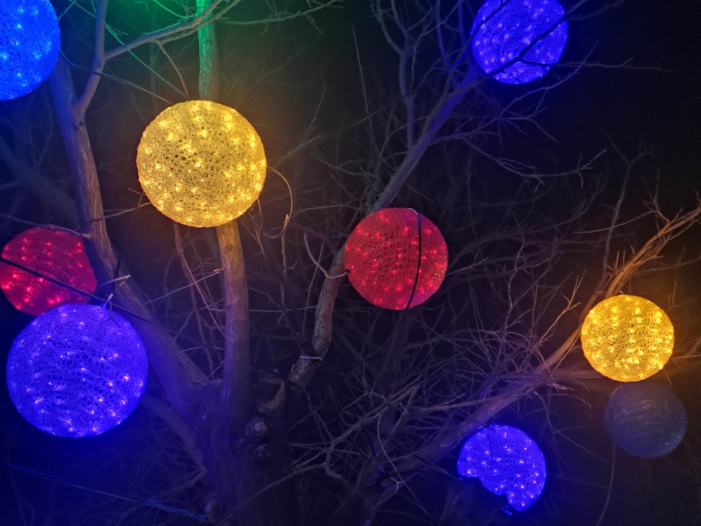 美丽的夜色中树灯造型优美五彩缤纷绚丽多姿美不胜收