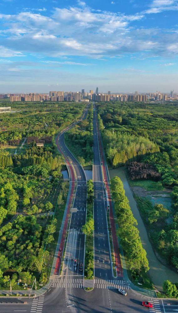 望园路森林大道南奉公路北美枫香特色道望园路森林大道03百座公园奉贤