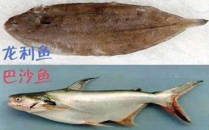 鲜嫩无刺的"龙利鱼",大人孩子都爱吃,水产老板:从不给孩子吃