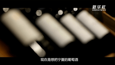 香港2019年经济总量是多少_2019年香港小姐(3)