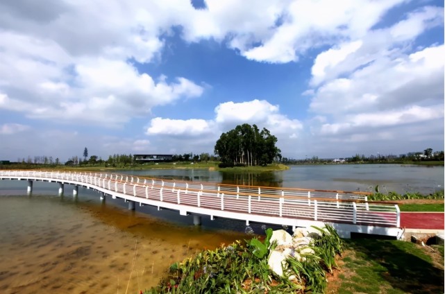 成都向南在团结岛东岸找到湾区理想生活