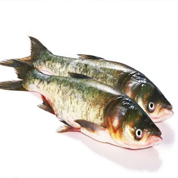 2020年最后一天,盘点盐亭这一年获得了什么