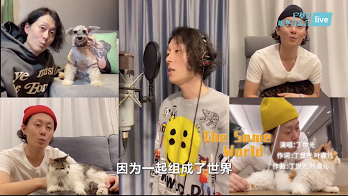 音乐会采取访谈与演唱穿插的方式进行,三位主持人也携犬出镜,张越和大