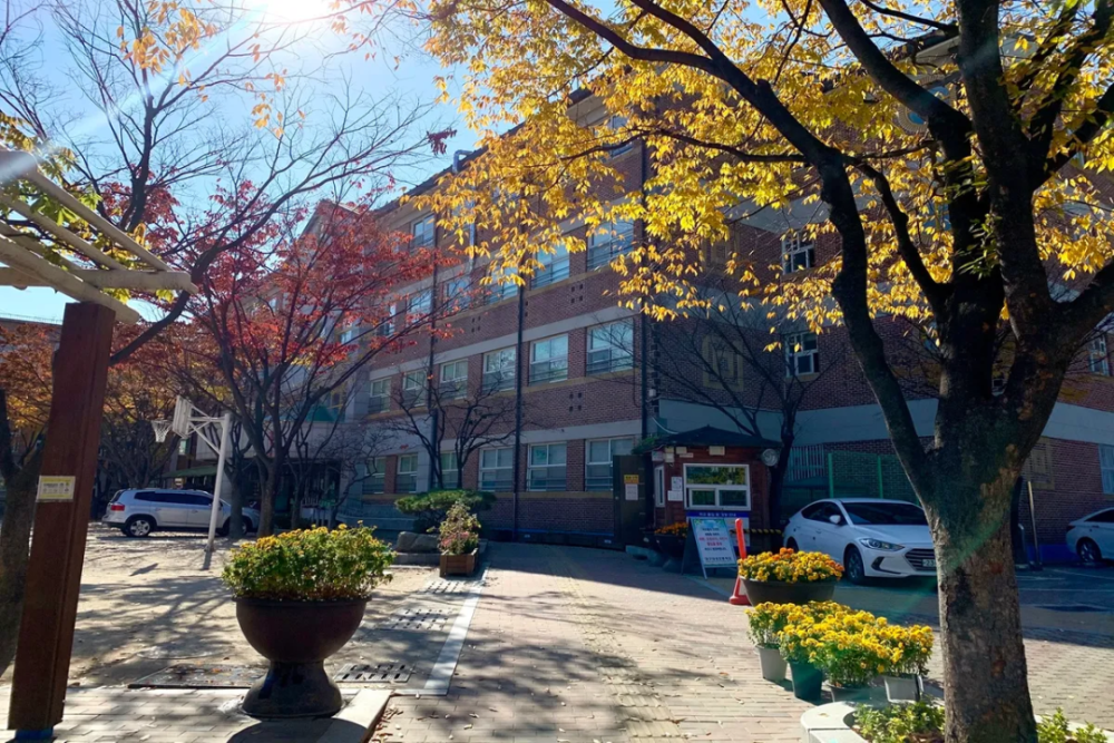 沿着飞山4洞幼儿园,大邱第一高中一直走下去,就能看到大邱大城小学