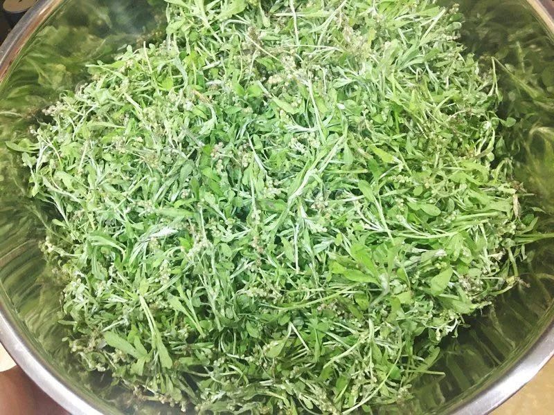 潮汕小吃鼠壳粿做法配方