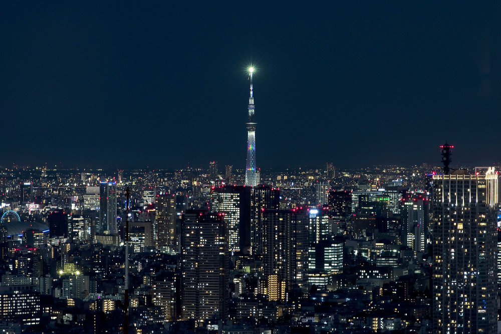 夜色这是2020年11月10日在日本东京都厅展望室拍摄的晴空塔和东京夜景