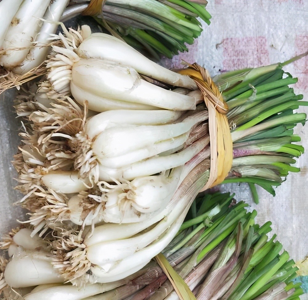 藠字读[jiào](图片整理自网络)