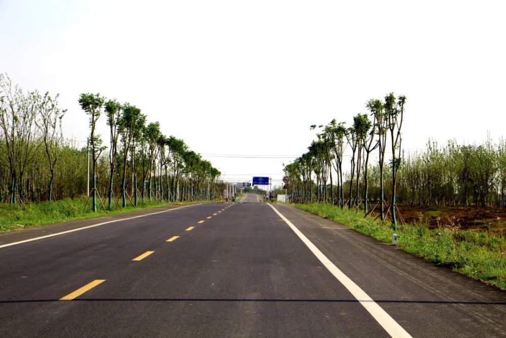 厉害巢湖这条路再获殊荣捧得安徽建设工程质量最高奖黄山杯奖