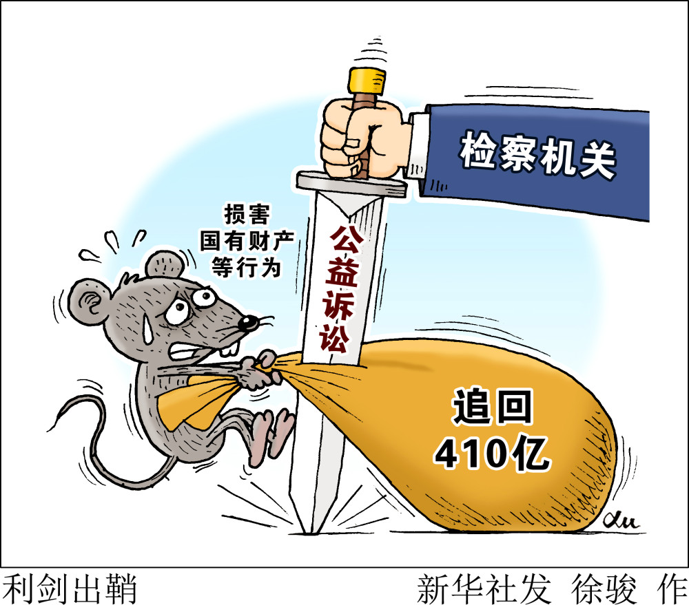 北京,2020年12月17日漫画: 利剑出鞘国有财产,国有土地是国家利益的