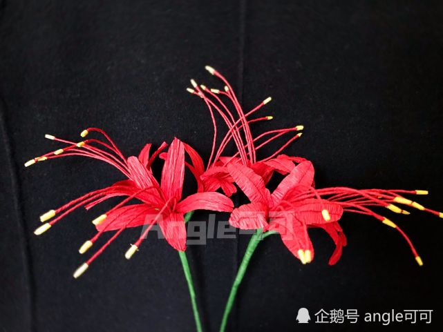 彼岸花开彼岸 只见花不见叶 美艳而神秘的小花 自己动手也能做 彼岸花 花瓣 铁丝