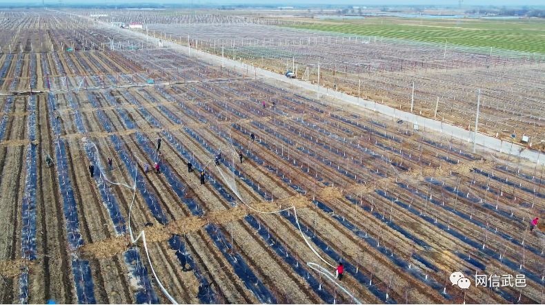 河北武邑家门口就业小康有盼头