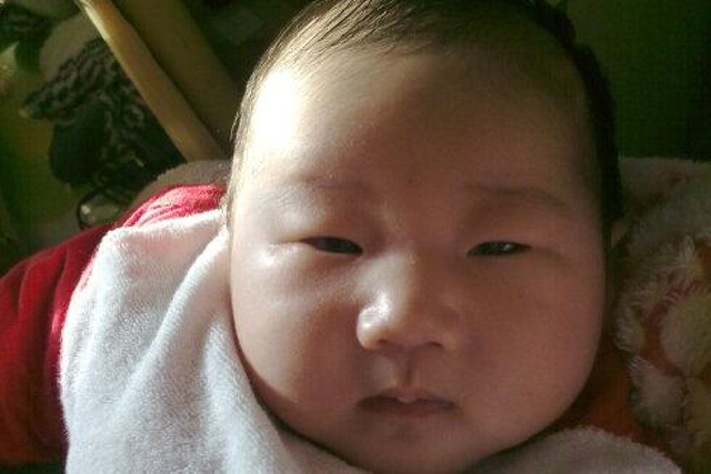 曾被嘲撞脸小岳岳的黎明女儿如今已长开精致五官凸显