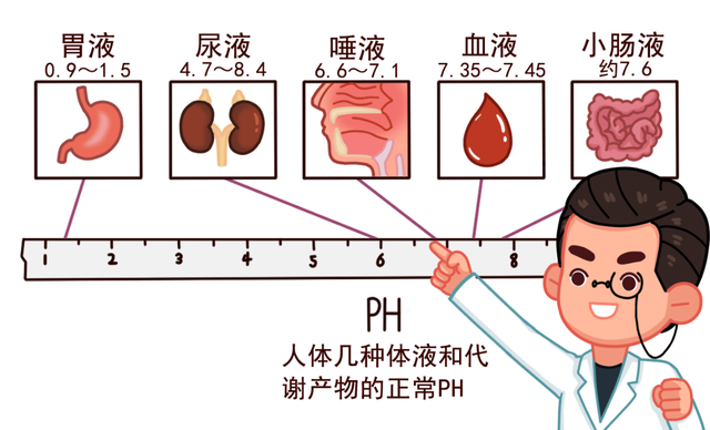 酸性体质真的是百病之源吗 是科学还是谣言 一文说清楚 腾讯网