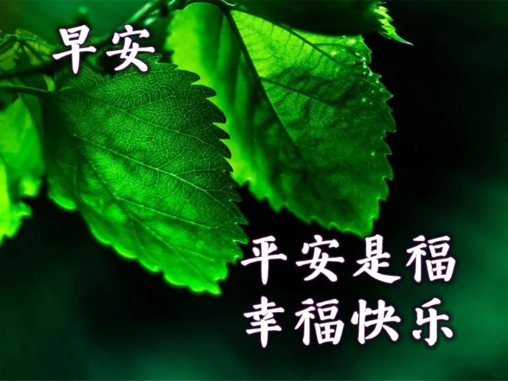 溫馨早上好問候圖片早安暖心祝福語句子