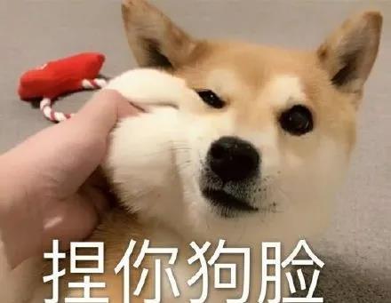 怼人合集表情包和朋友斗图再也不怕了